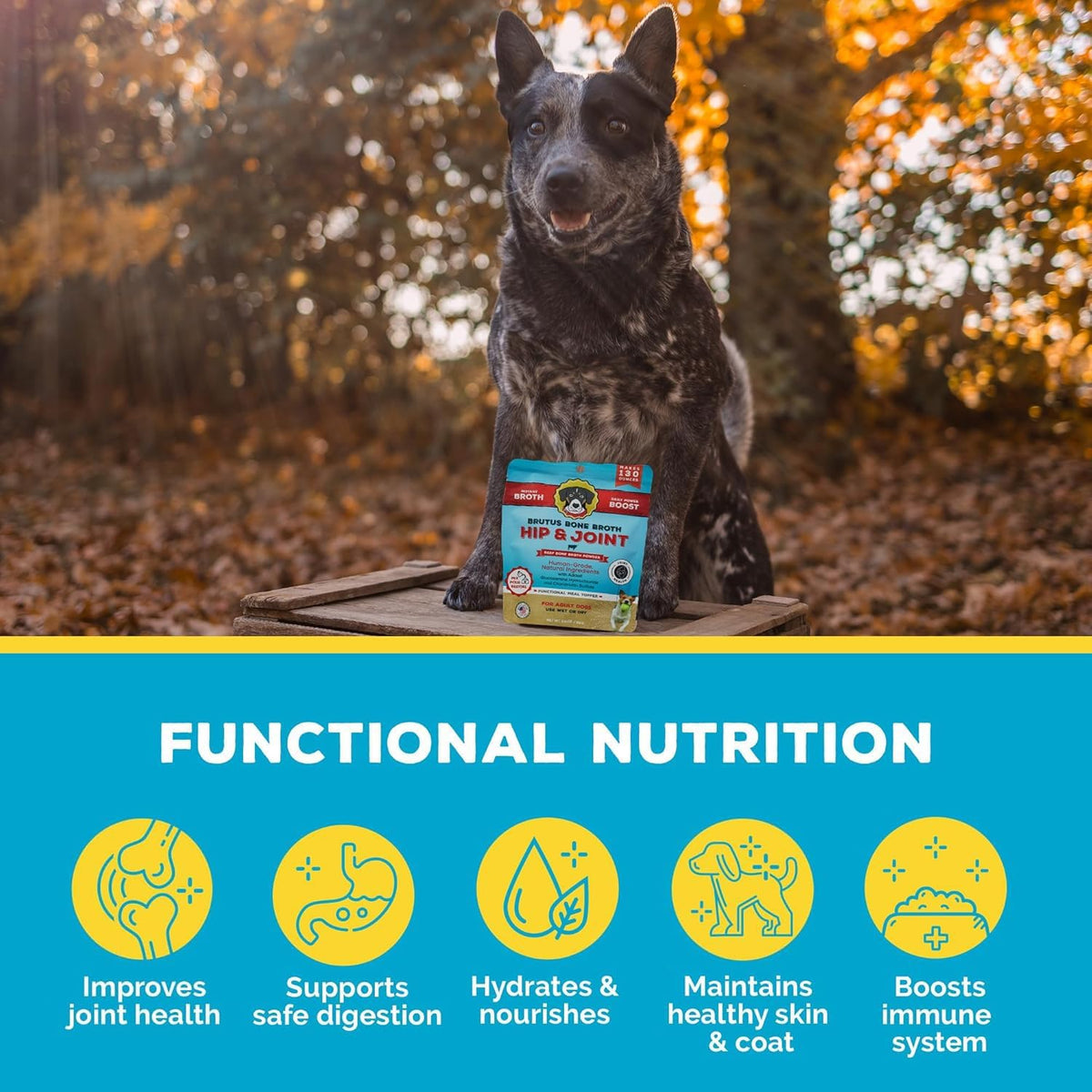 Human grade dog meal topper powder close up texture