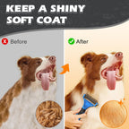 Professional UGNEL dog deshedding brush kit highlighting premium stainless steel components