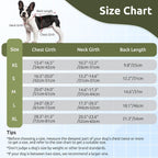 Green waterproof dog winter coat featuring back storage pocket