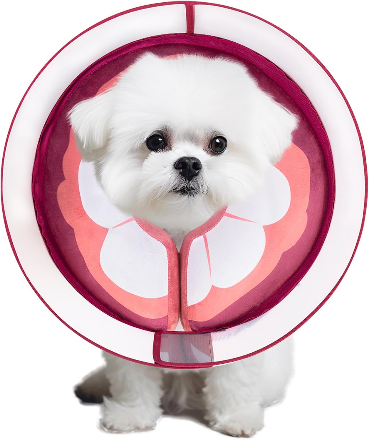 Inflatable Dog Cone Collar for Large Medium Small Dogs, Soft Dog Donut Collar Adjustable Recovery Cone for Pets After Surgery, Extra Enhanced Anti-Licking Guard Shield for Pets (Large, Orange) - Image 10