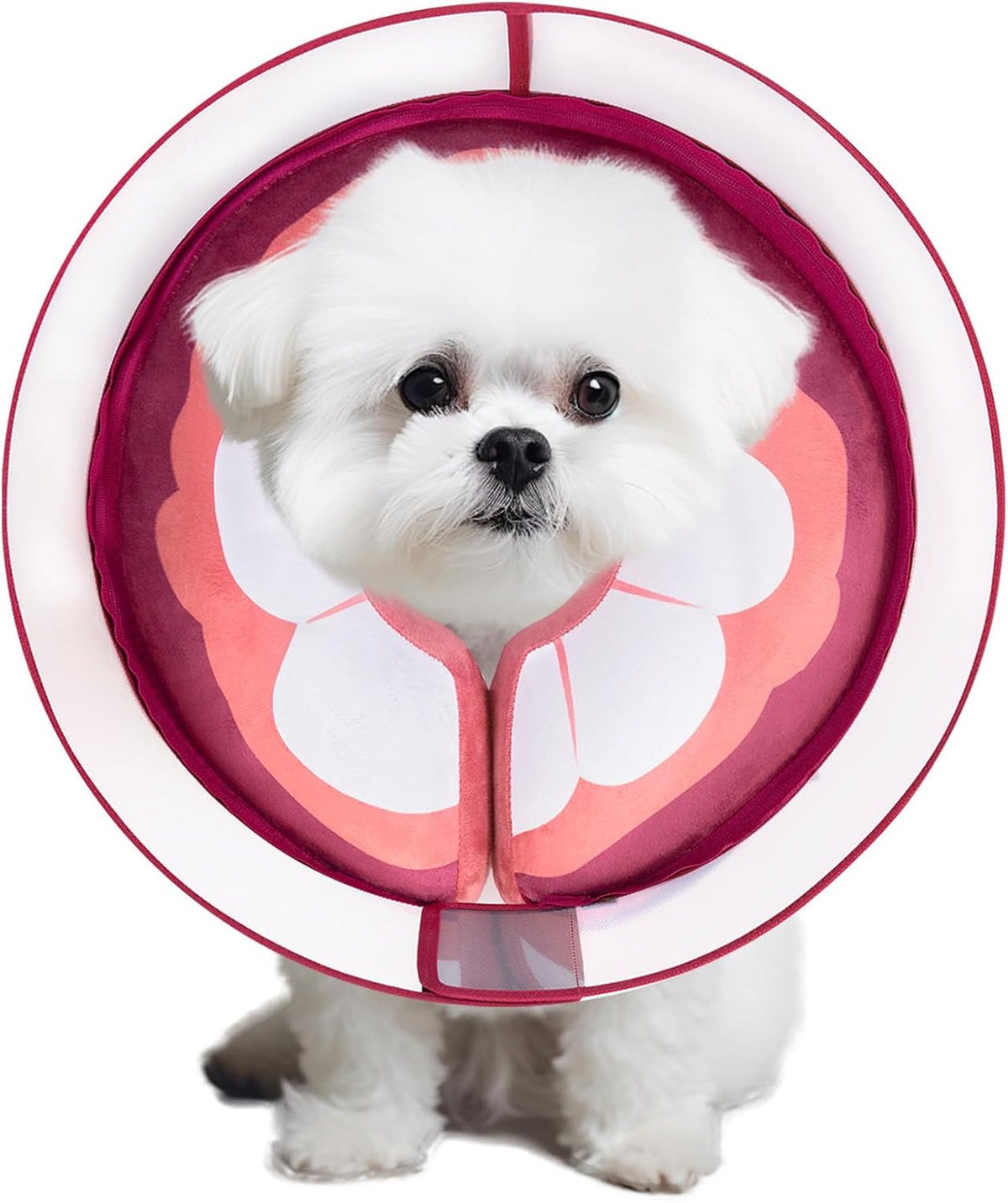 Inflatable Dog Cone Collar for Large Medium Small Dogs, Soft Dog Donut Collar Adjustable Recovery Cone for Pets After Surgery, Extra Enhanced Anti-Licking Guard Shield for Pets (Large, Orange) - Image 10