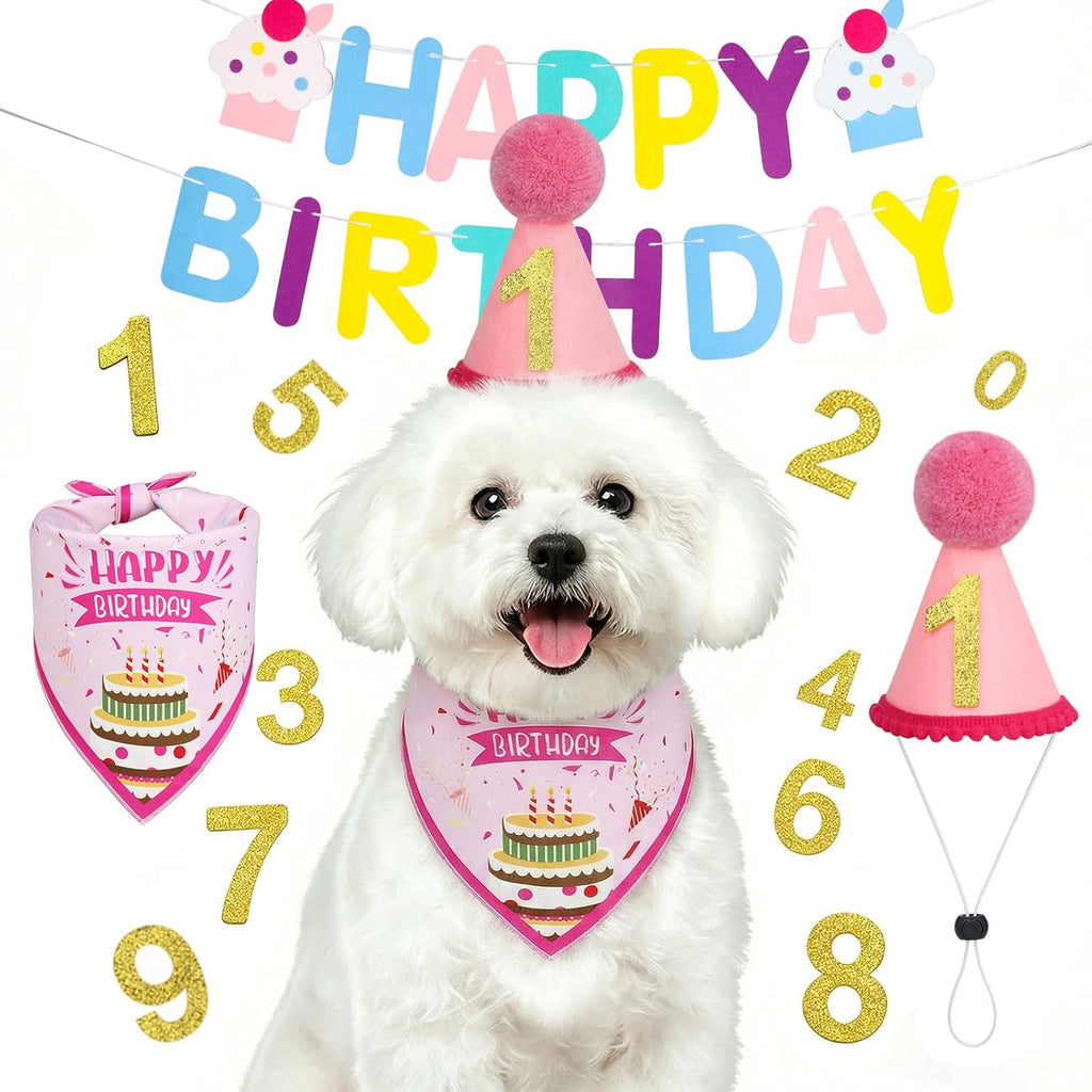 Supet blue birthday party supplies for dogs flat lay