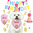 Supet blue birthday party supplies for dogs flat lay