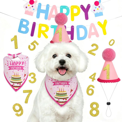 Supet blue birthday party supplies for dogs flat lay