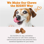 Authentic Zesty Paws pet supplements package for hip and joint care in dogs of all sizes.