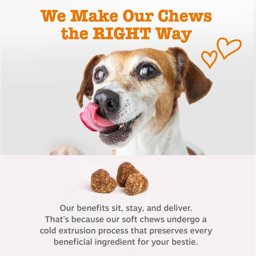 Zesty Paws salmon oil dog skin itch relief chews lifestyle view