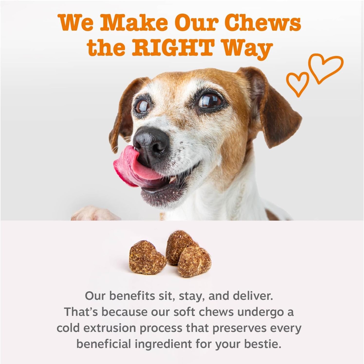 Detailed label of Zesty Paws probiotic bites for dogs