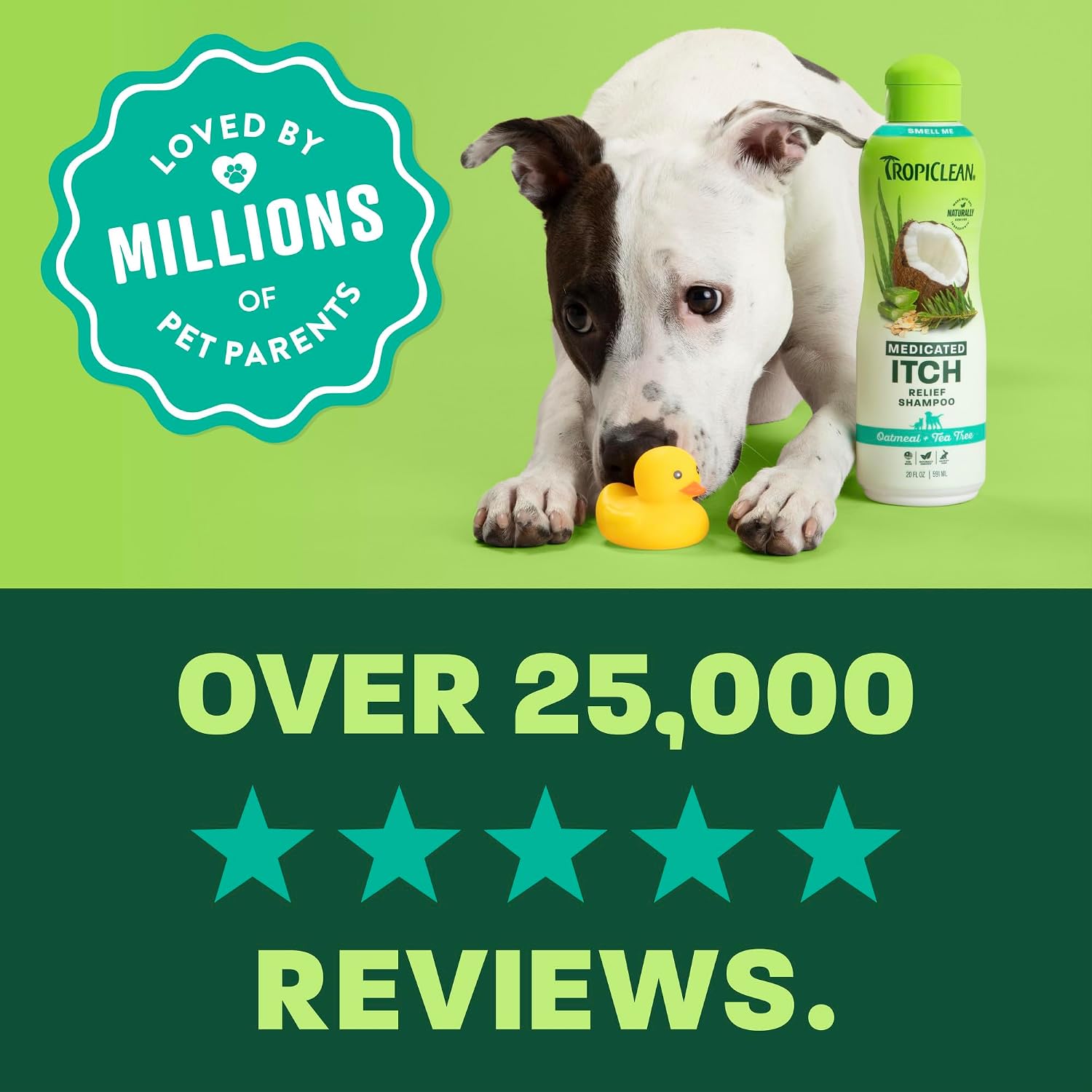 TropiClean oatmeal shampoo suitable for puppies and kittens