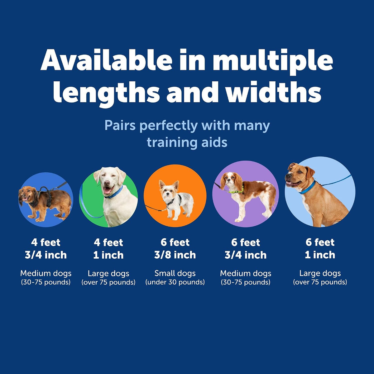 Small dog walking outdoors with PetSafe nylon leash