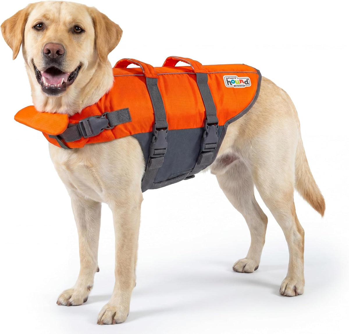Outward Hound dog life jacket front view