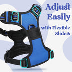 Blue pet walking vest with dual metal leash clips for large dogs