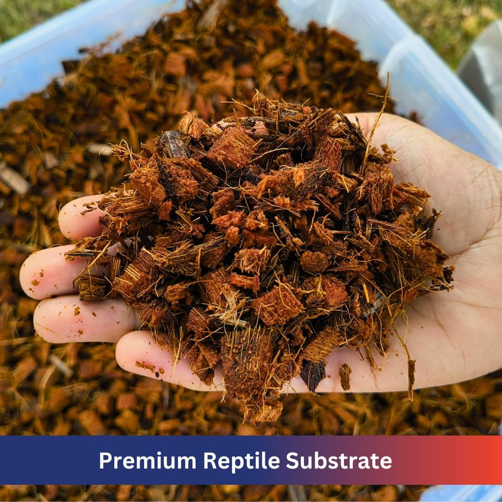 ReptiPlus reptile bedding block expanding in a water container
