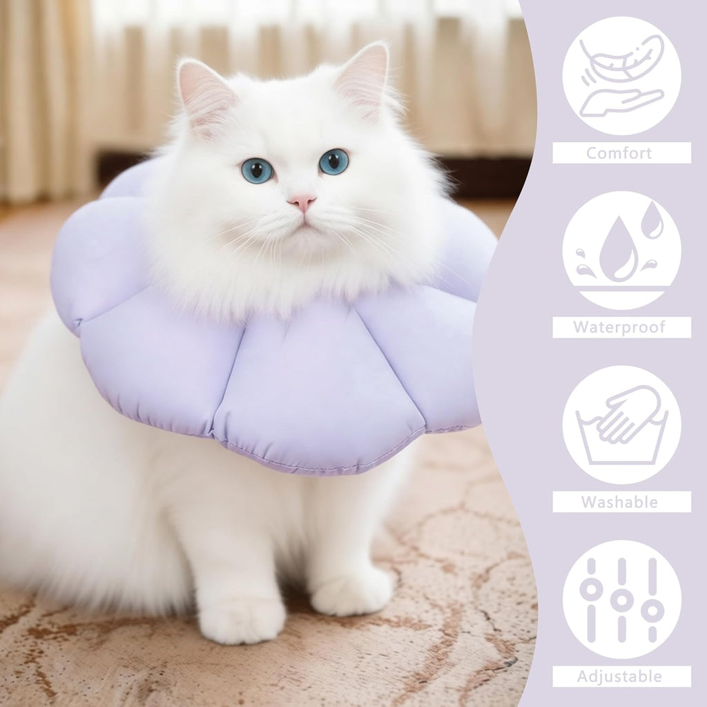 Premium imported soft pet cone collar for stress free eating and drinking post operation.