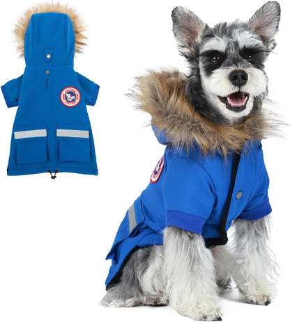 PINA pet apparel sizing demonstration on a small Chihuahua breed