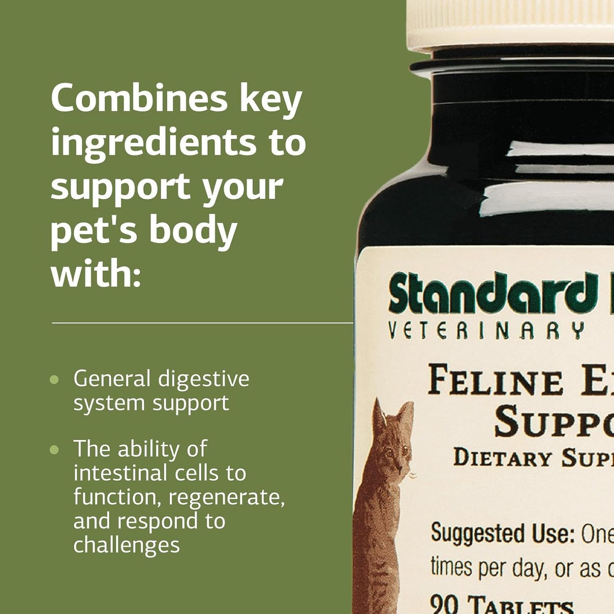 USA imported Standard Process Feline Enteric Support ninety tablets packaging