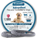 Advanllent flea and tick collar for dogs front view packaging