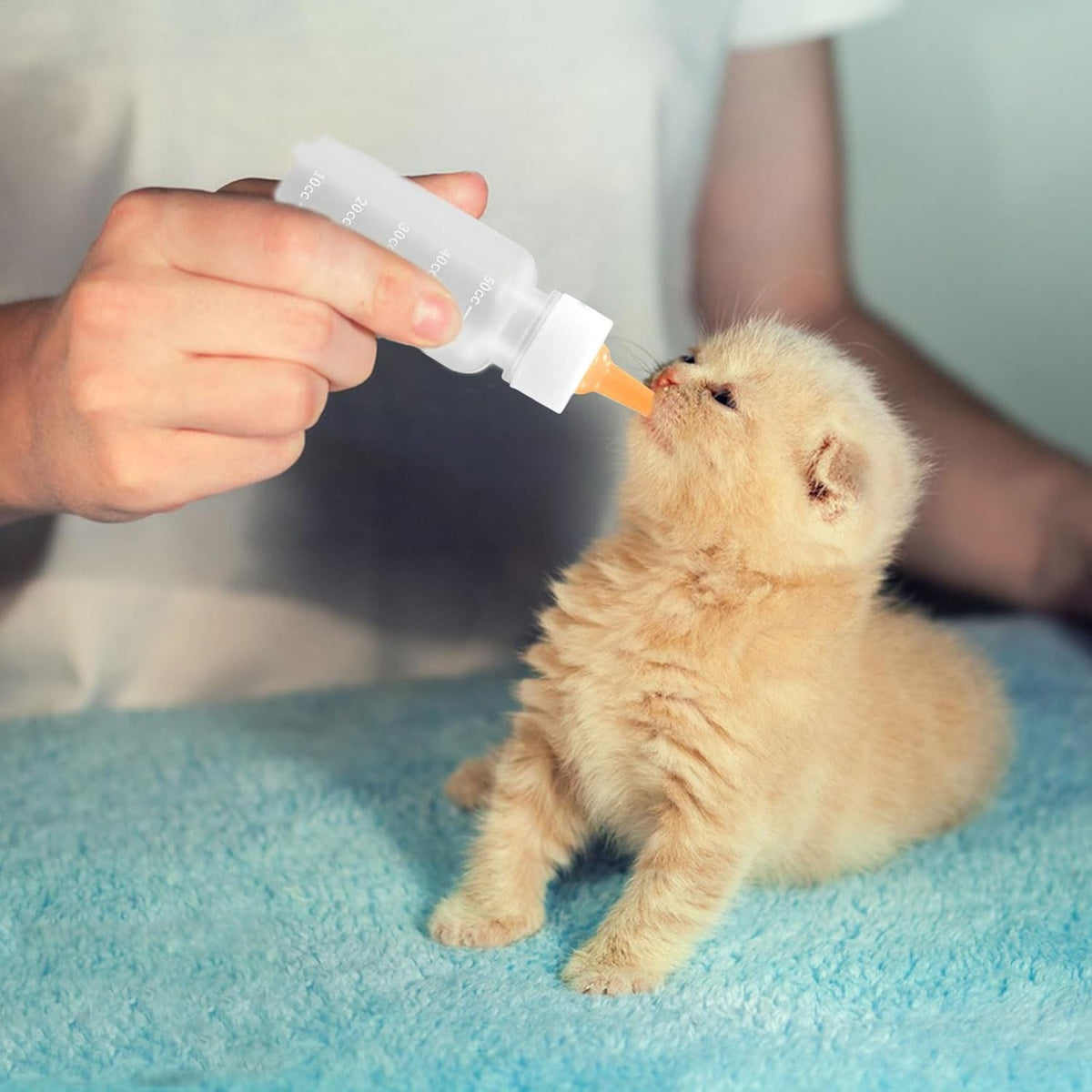 Snorbirell brand small pet milk nursing syringes laid out flat with replacement accessories.
