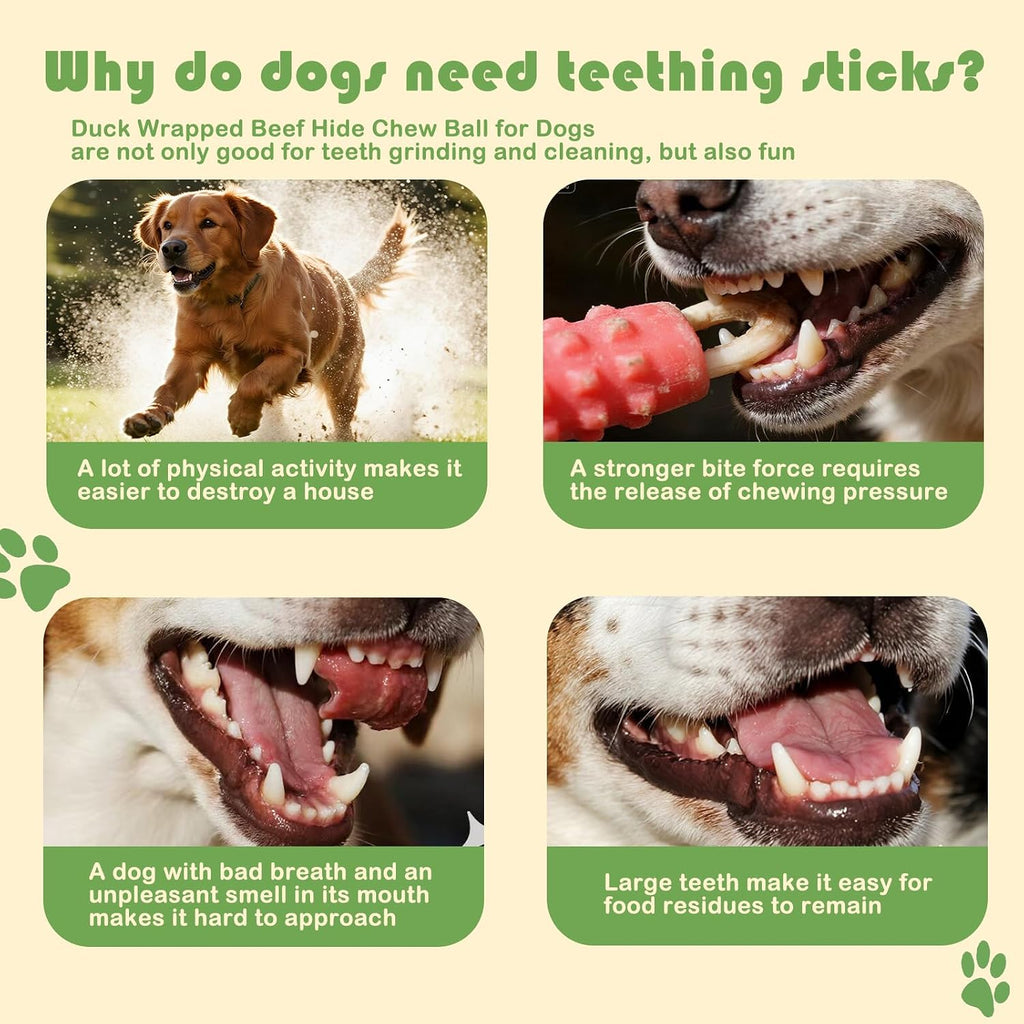 Olsdeeool chicken flavored dog treats showing the spherical shape dimensions for large breeds.