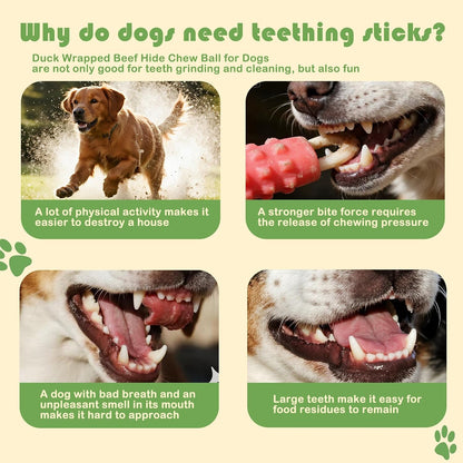 Olsdeeool chicken flavored dog treats showing the spherical shape dimensions for large breeds.