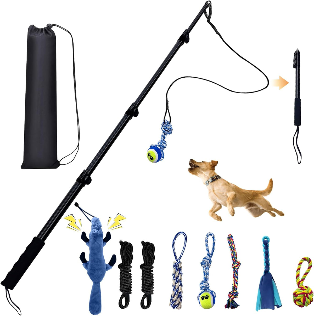 Medium size puppy playing tug of war with a durable cotton rope attachment