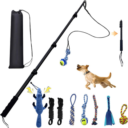 Medium size puppy playing tug of war with a durable cotton rope attachment