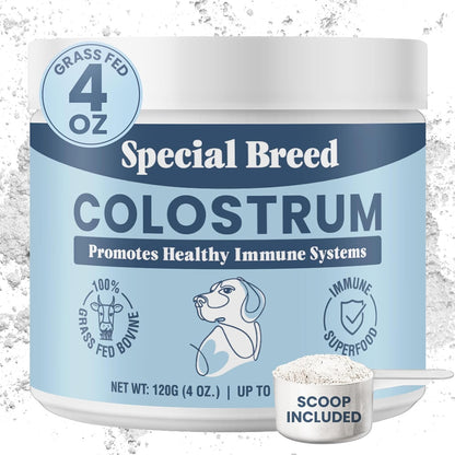 Special Breed Bovine Colostrum Powder front view of container for pet immune support.