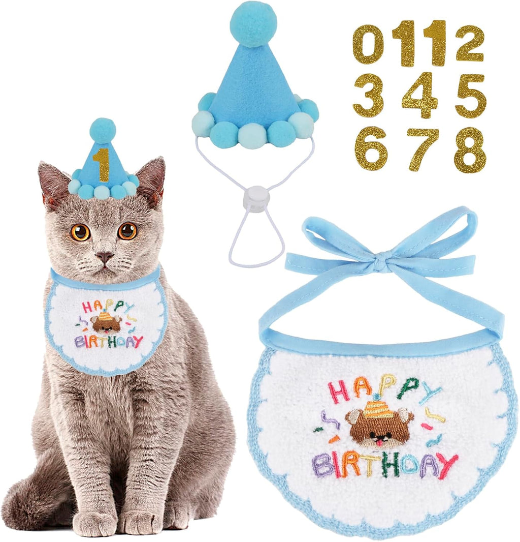 Ptdecor blue cat birthday hat and bandana set front view