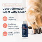 Vets Preferred dog digestive health liquid supplement bottle
