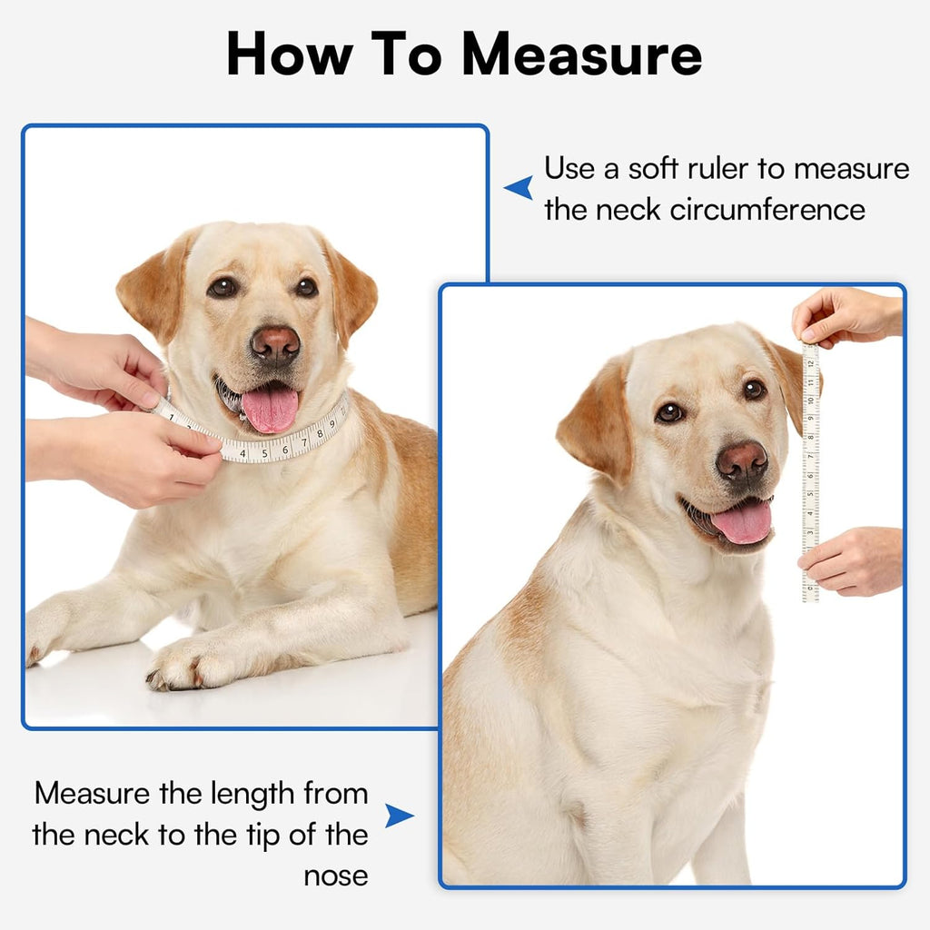Queenmore premium mesh dog cone for post surgery licking prevention