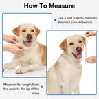 Queenmore premium mesh dog cone for post surgery licking prevention