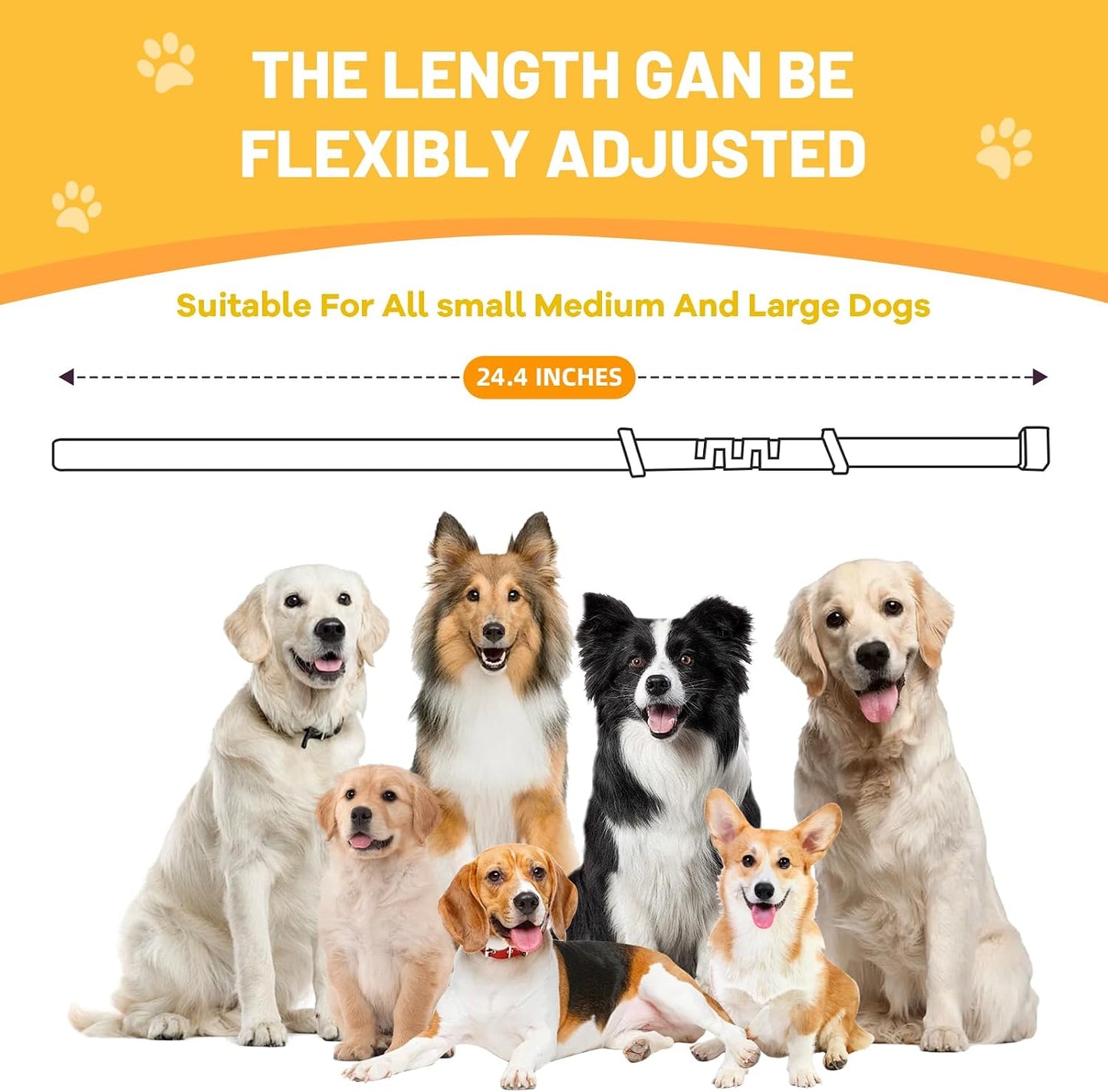 Infographic showing the sixty days sustained release mechanism of the lavender pheromone collar.