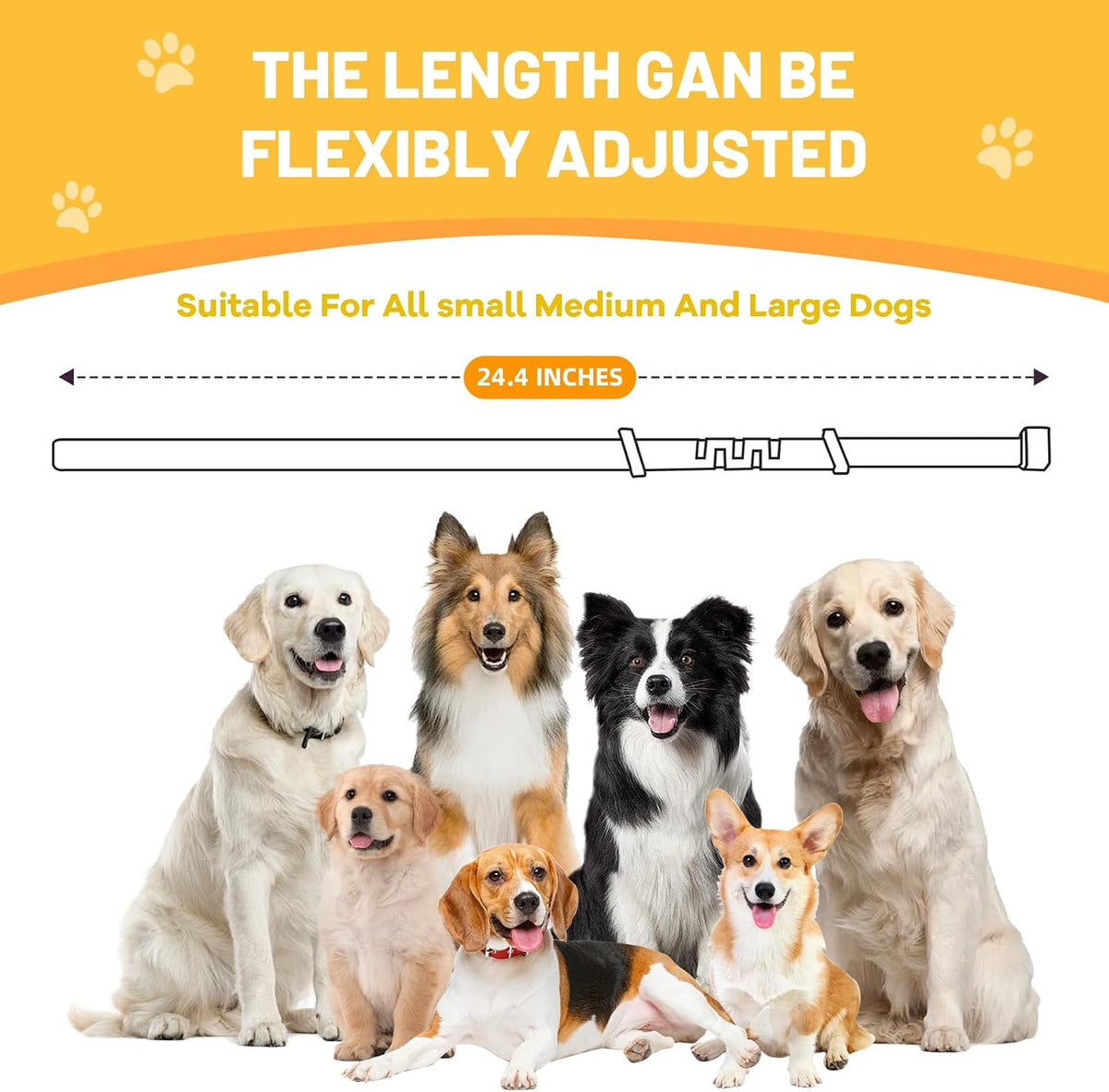 Infographic showing the sixty days sustained release mechanism of the lavender pheromone collar.