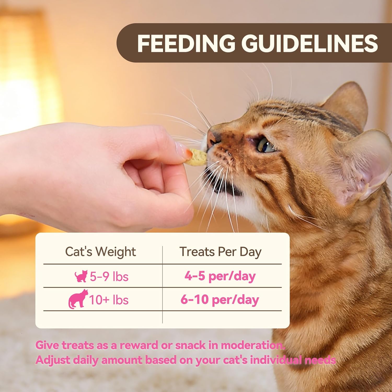 Puddonio premium crunchy cat treats packaging lifestyle shot