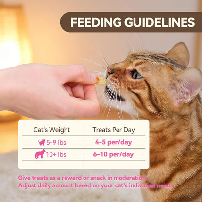 Puddonio premium crunchy cat treats packaging lifestyle shot