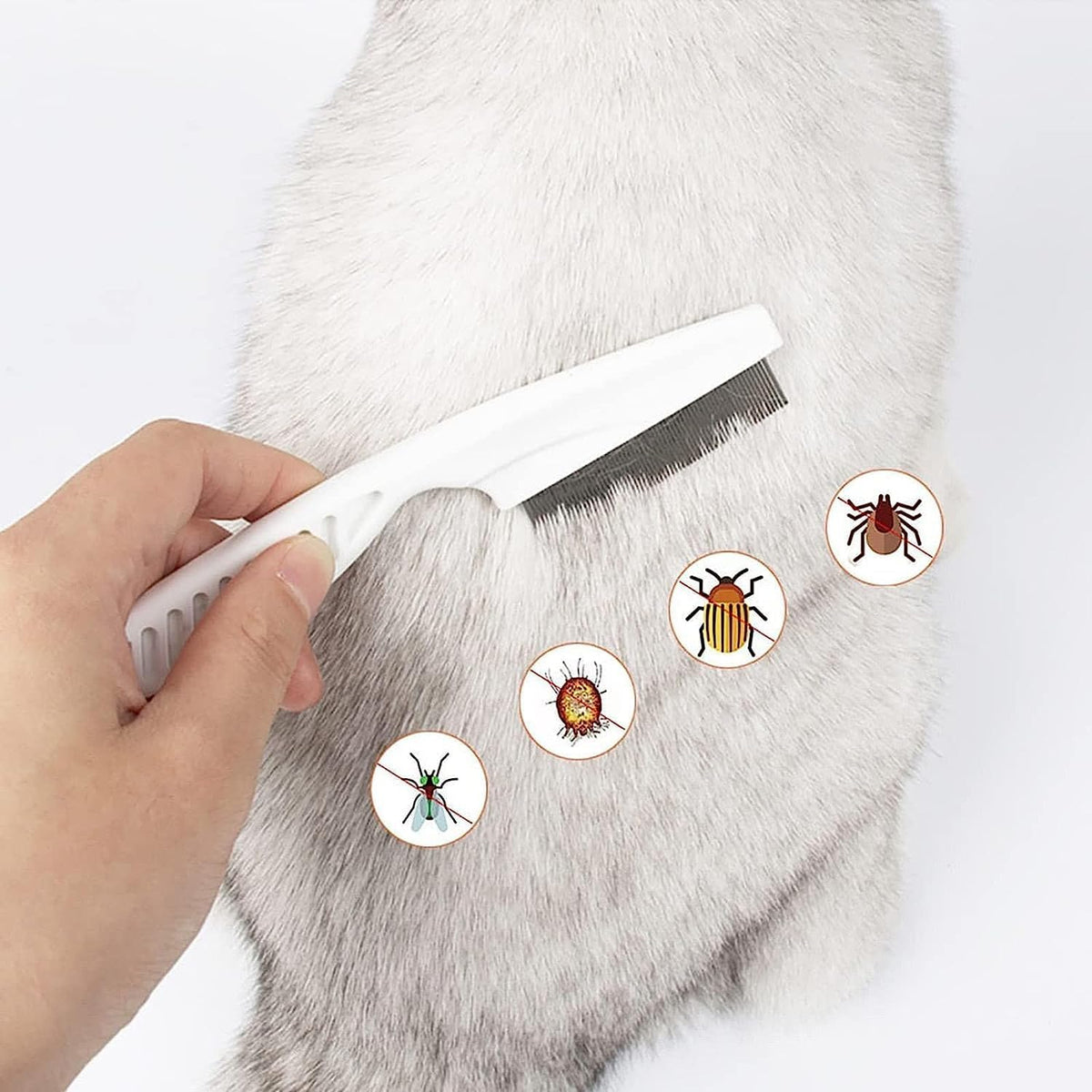 Using magic flea brush to remove tear stains from cat