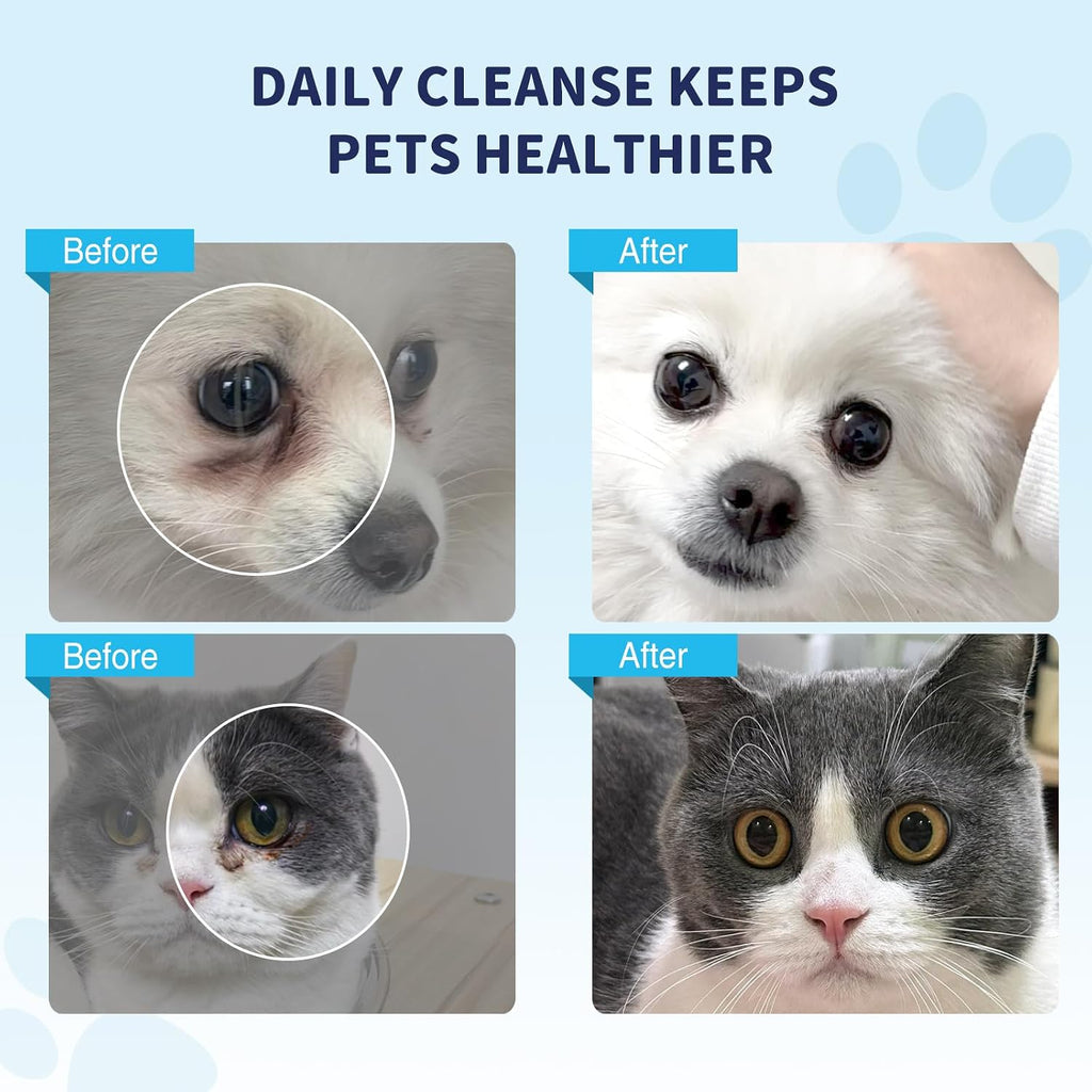 Gentle cleaning wipes removing crust and discharge from a cat eye area.