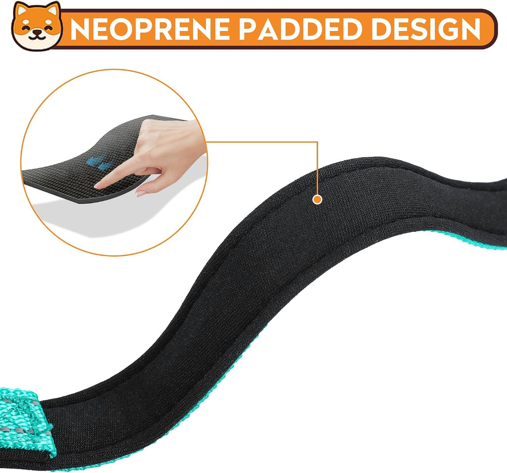 Side view of adjustable reflective dog collar in teal