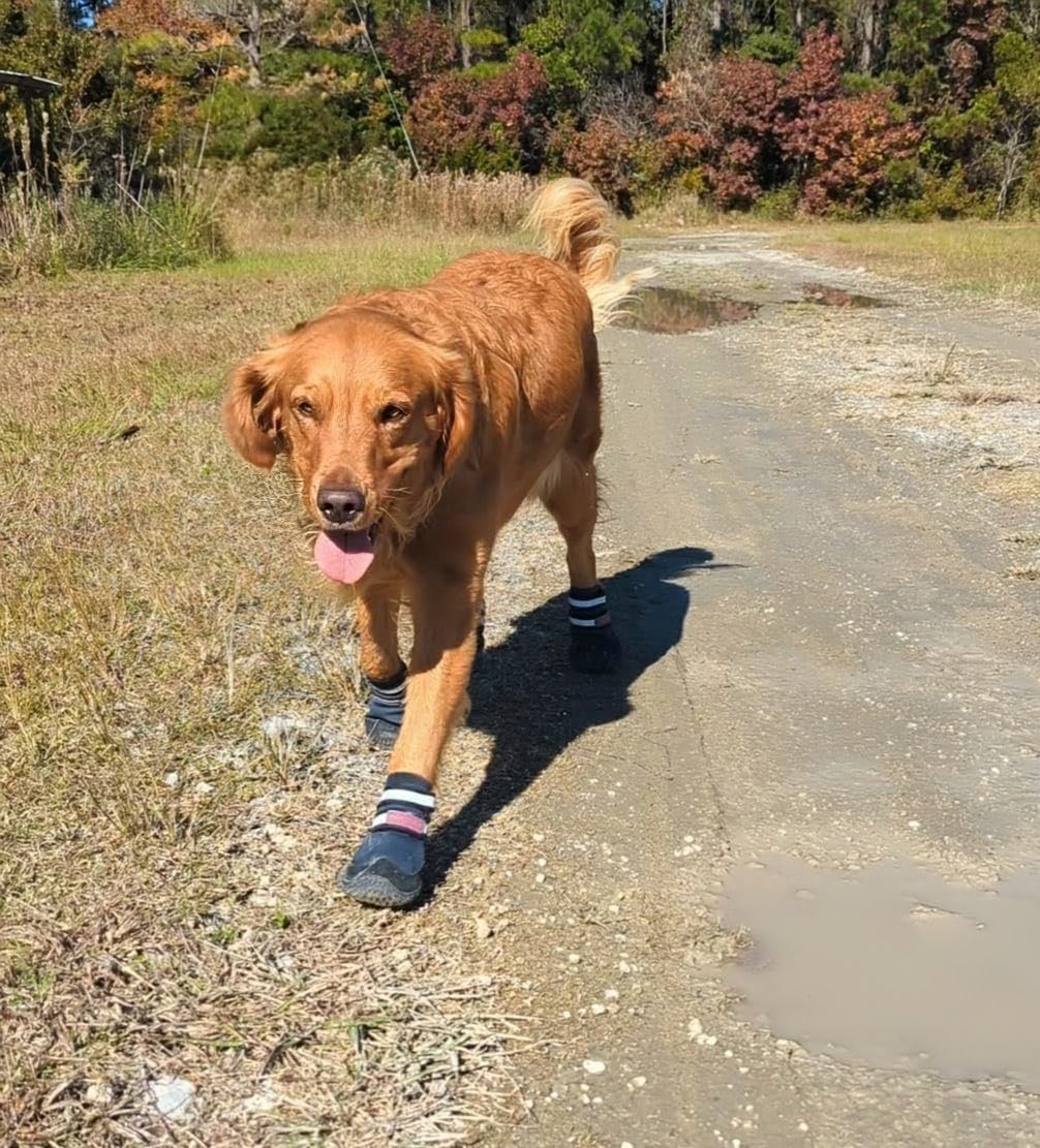 Bark Brite dog shoes showing wide opening for easy fit