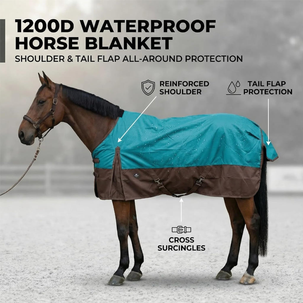 TGW RIDING imported authentic horse sheet packaging with accessories view