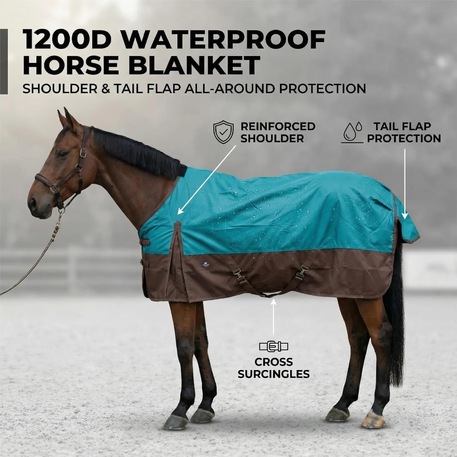 TGW RIDING imported authentic horse sheet packaging with accessories view