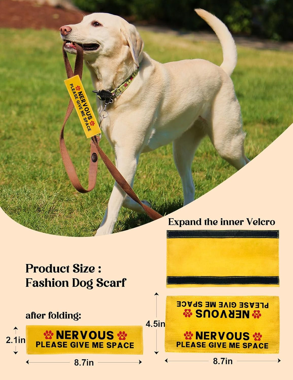 Side profile of nervous dog leash sleeve on lead
