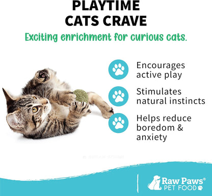 Six count package of Raw Paws natural compressed catnip balls