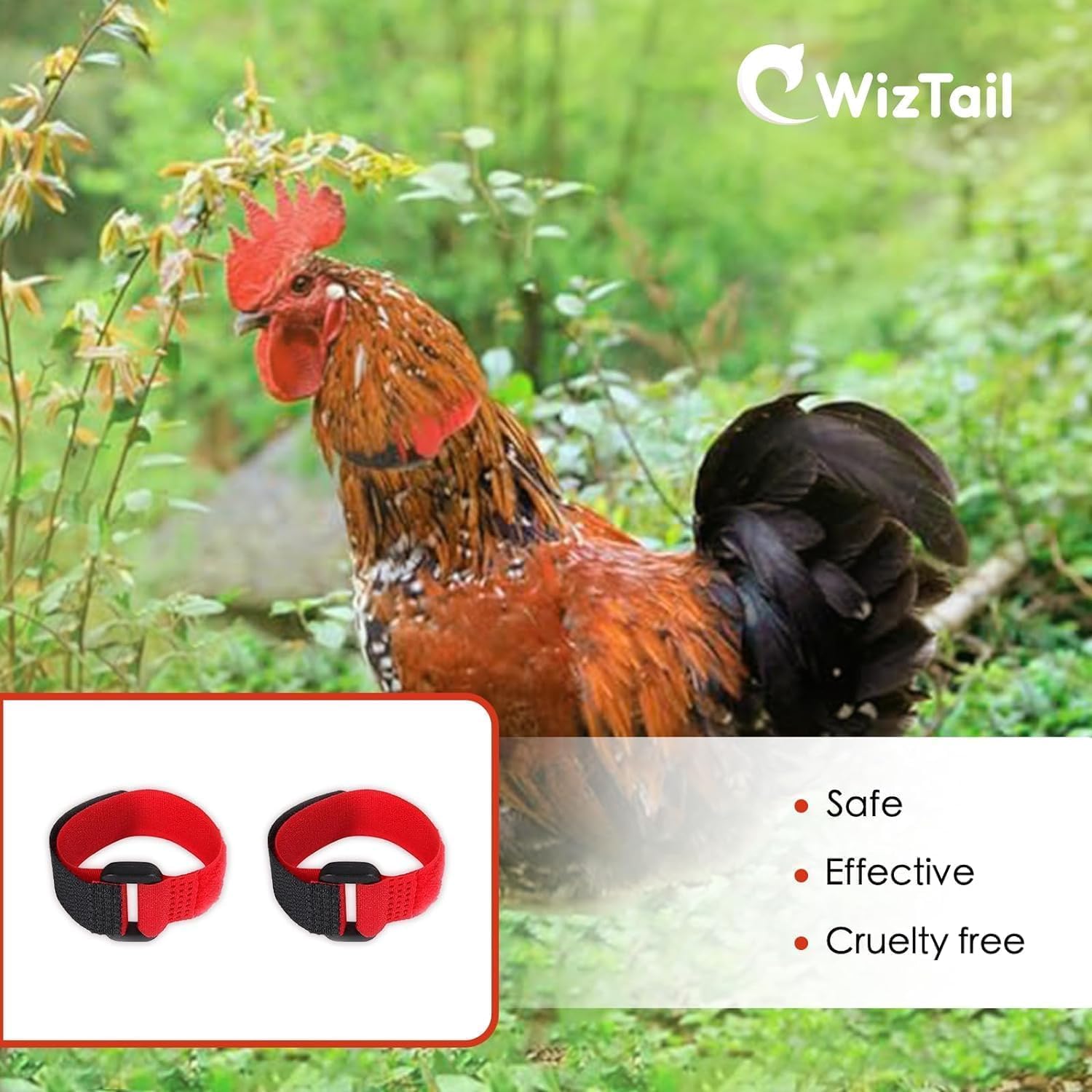 Lyla noise free chicken collar set displayed flat against a plain backdrop
