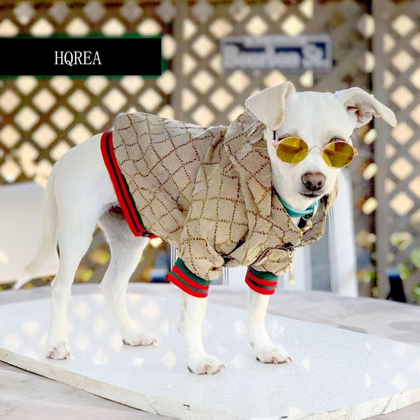 Side profile of hqrea luxury pet sweater for puppies
