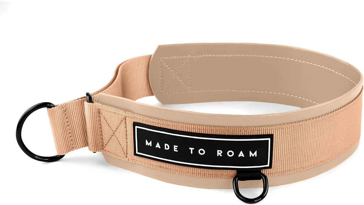 MADE TO ROAM Premium Everyday Dog Collar - Martingale Style No Pull Vegan Leather Collar, Heavy Duty and Lightweight for Small, Medium, Large Dogs (California Horizon, Size 7) - Image 14