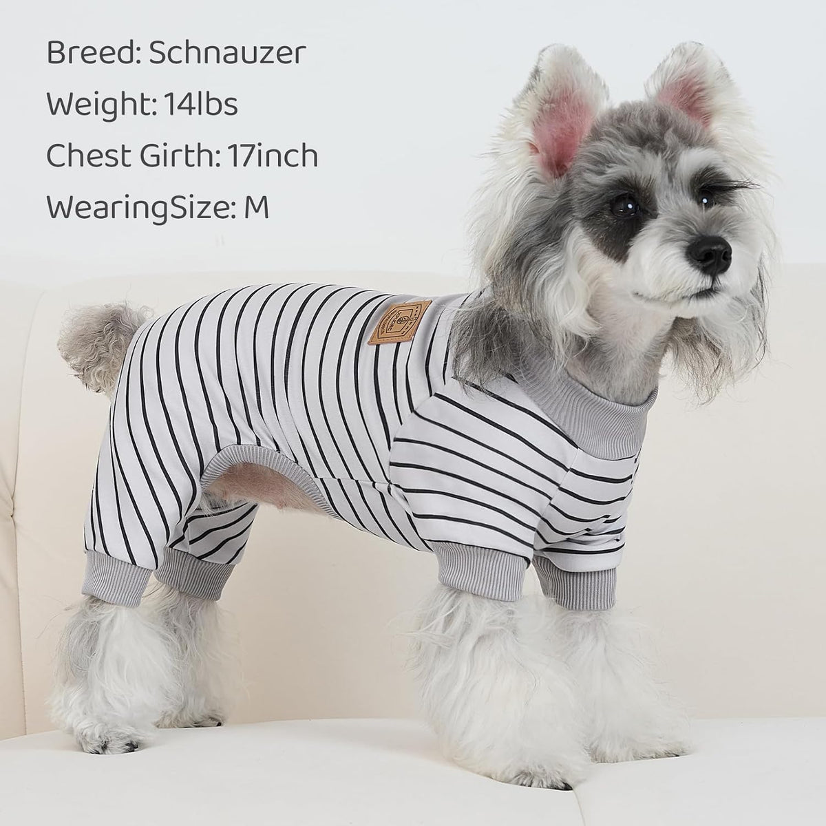 High-cut belly design feature on the XPUDAC puppy clothes.
