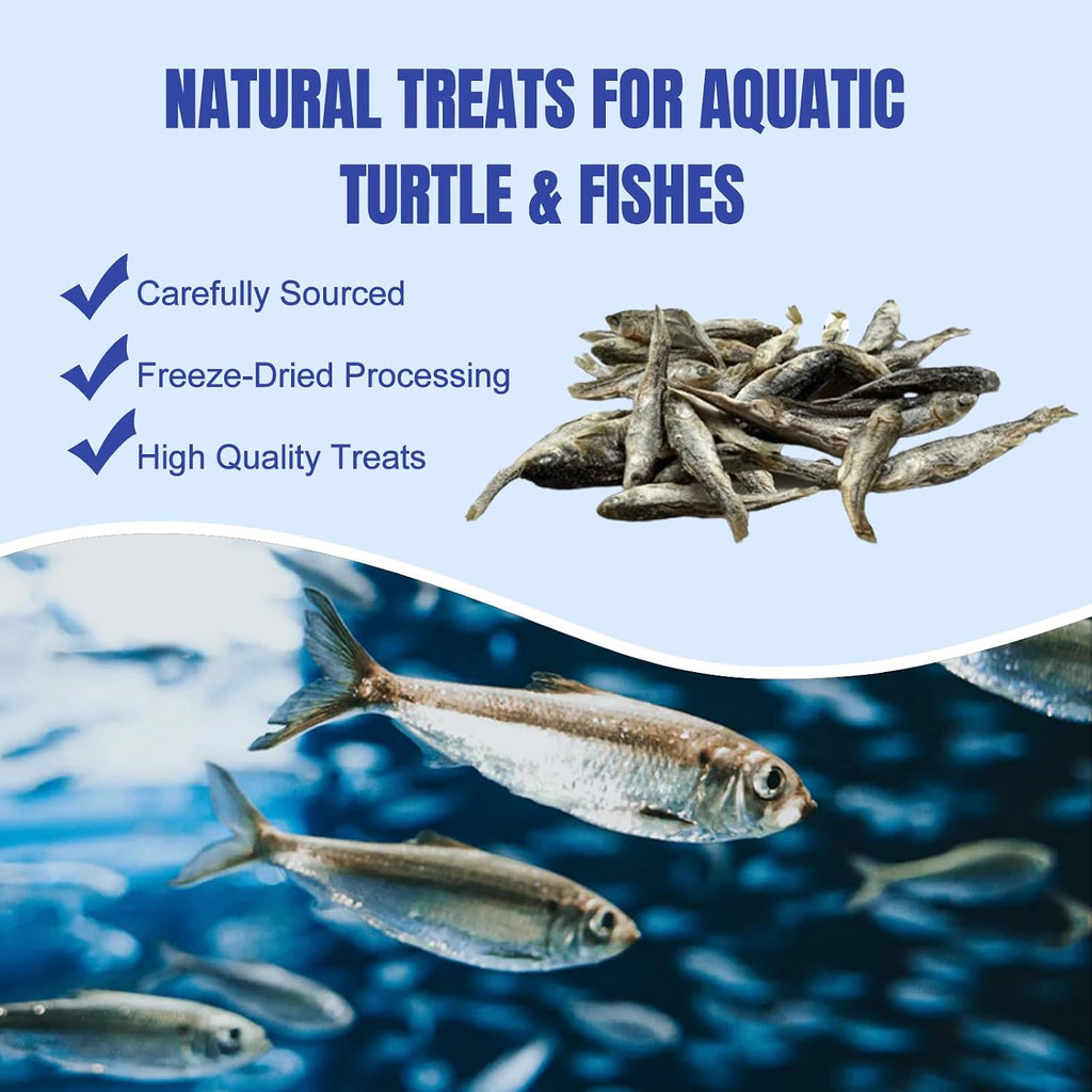 Amzey high protein tropical fish treat jar
