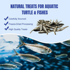 Amzey high protein tropical fish treat jar