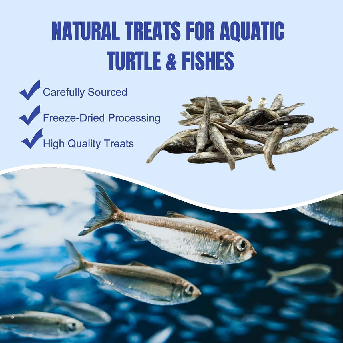 Amzey high protein tropical fish treat jar