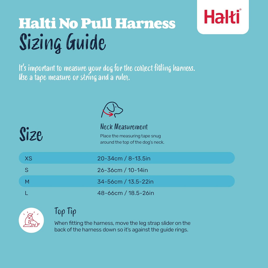 Adjustable straps on Halti dog training harness